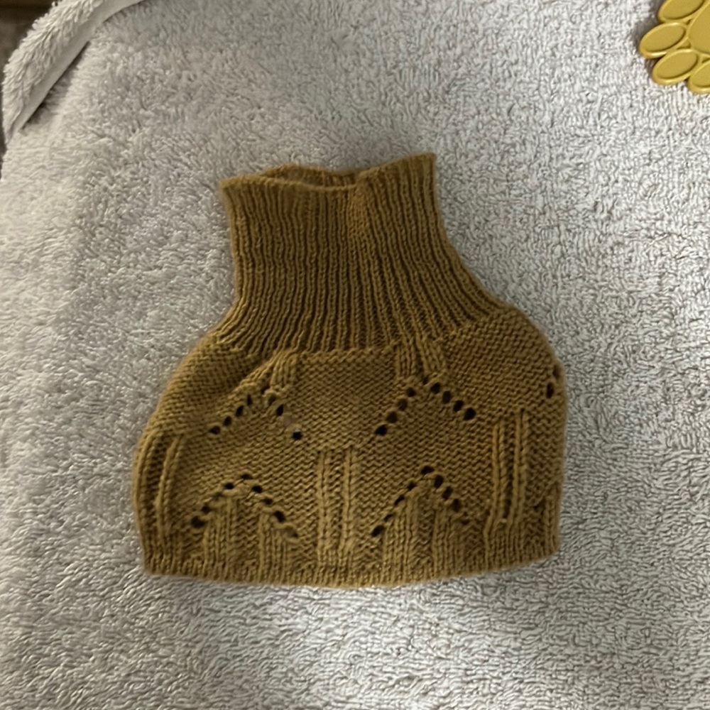 Dickens Closet Doggie Sweater Size XXS